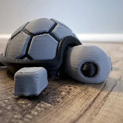 Bé Rùa Con Dễ Thương Nhiều Màu (Remix)