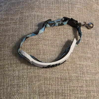 Thẻ gắn vòng cổ (Tag for collar)