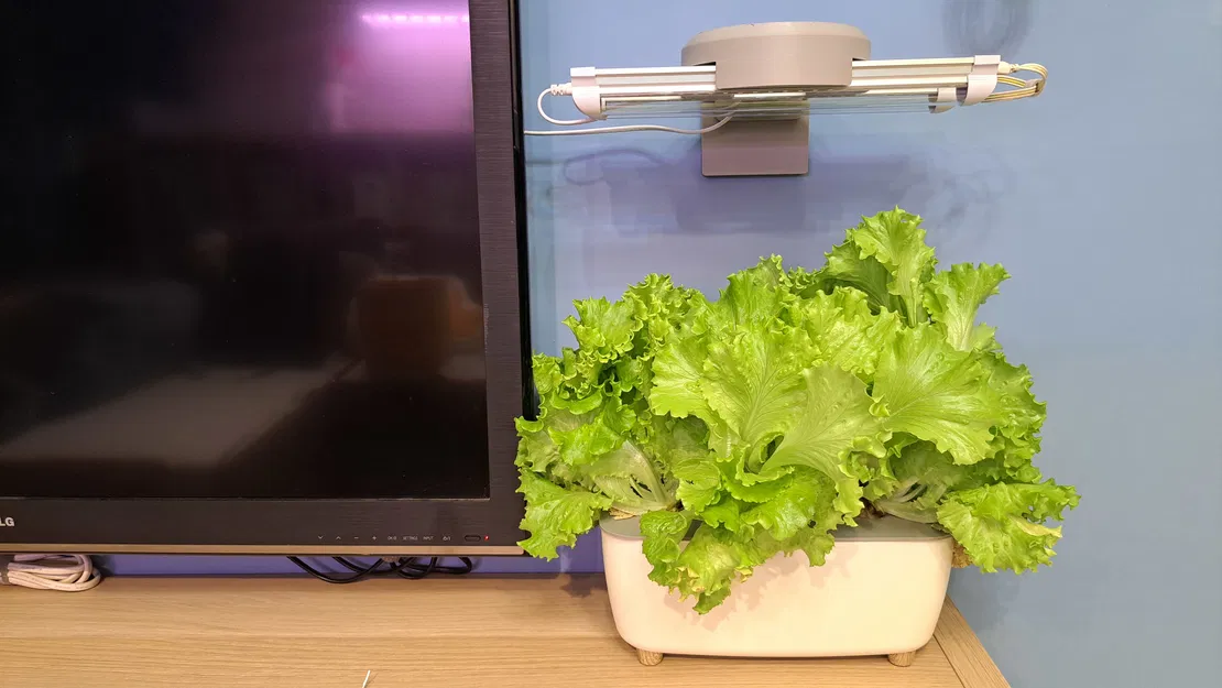 Khung Đèn Thủy Canh Hình Donut｜甜甜圈水耕燈架 - Image 1