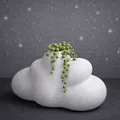 Cloud Vase – Chậu/Bình in 3D tối giản hiện đại hình mây, in nhanh không cần support - Thumbnail 3