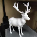 Hươu (Deer) - Thumbnail 2