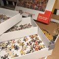 Khay IKEA đựng giấy thành khay phân loại mảnh ghép puzzle có thể xếp chồng - Thumbnail 2