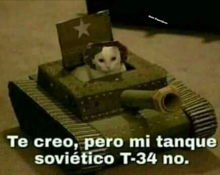 Xe tăng Liên Xô T-34 do mèo lái - Image 2