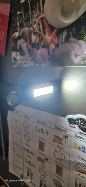 Chụp đèn thay thế cho đèn trần (Lampenschirm für Deckenlampe) - Image 2