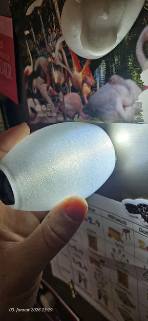 Chụp đèn thay thế cho đèn trần (Lampenschirm für Deckenlampe) - Image 3