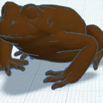 Ếch Chocolate Harry Potter (Harry Potter chocolate frog)