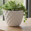 Chậu cây “Balls” – Planter (Vase mode) - Thumbnail 1