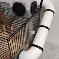 Ống Tube Cho Hamster Có Đế Nối - Thumbnail 1