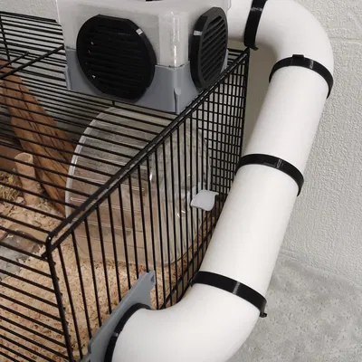 Ống Tube Cho Hamster Có Đế Nối