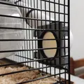 Ống Tube Cho Hamster Có Đế Nối - Thumbnail 2