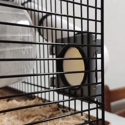 Ống Tube Cho Hamster Có Đế Nối