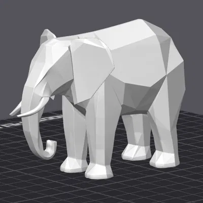 Slon – Tượng voi low poly