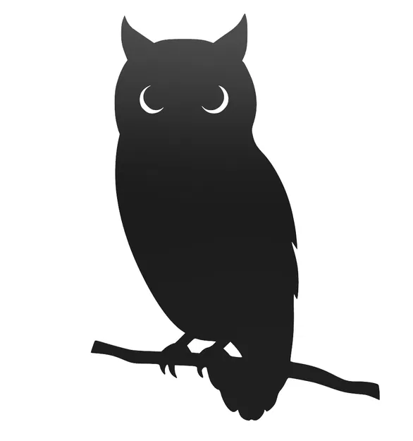 Owl silhouette – Wall art chim cú - Image 1