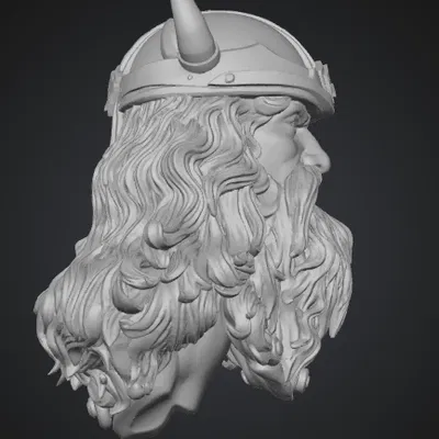 Chiến binh Viking (Viking Warrior)