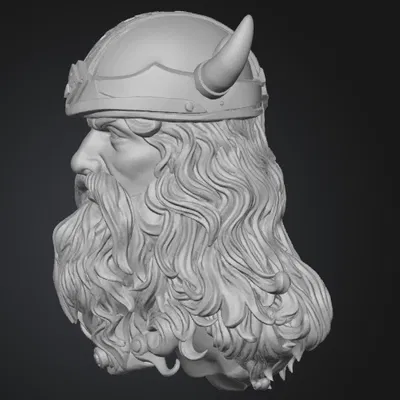 Chiến binh Viking (Viking Warrior)