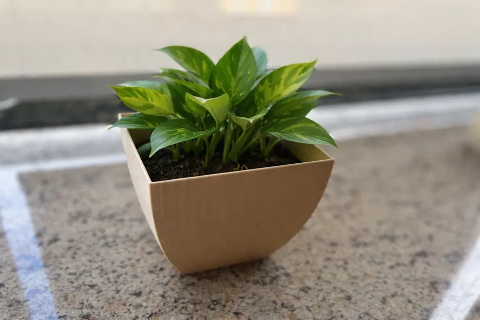 Chậu Cây Vuông Bo Cong (Square Planter with Curved Sides) - Image 1