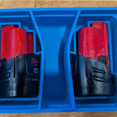 Insert Dewalt Pro Shallow Organizer cho rotary tool & pin Milwaukee M12