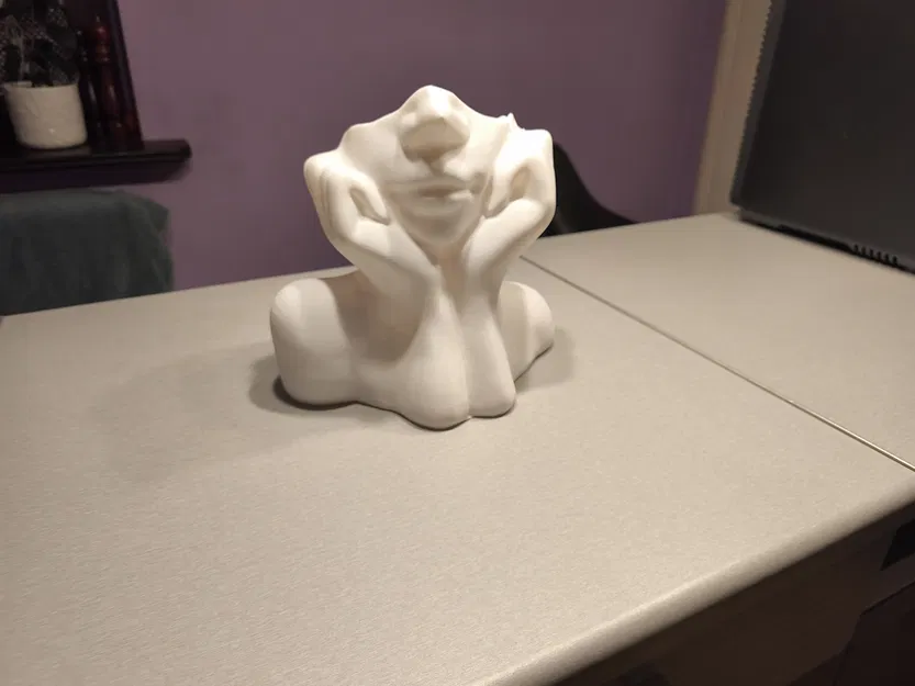 Bình hoa (Vase) organic hiện đại – mẫu 3D printable - Image 1