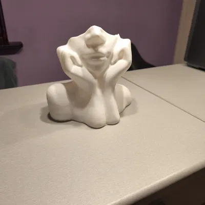 Bình hoa (Vase) organic hiện đại – mẫu 3D printable