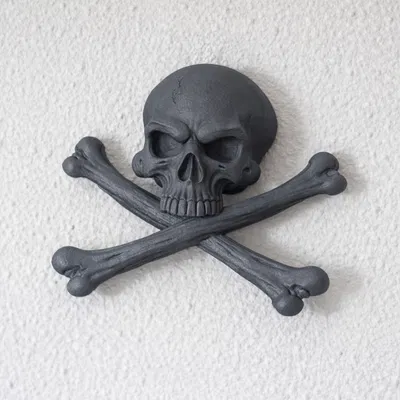 Đầu lâu xương chéo (Crossbones Skull)