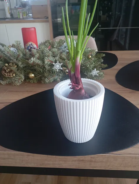 Chậu hoa Fruvita (Fruvita flowerpot) - Image 1