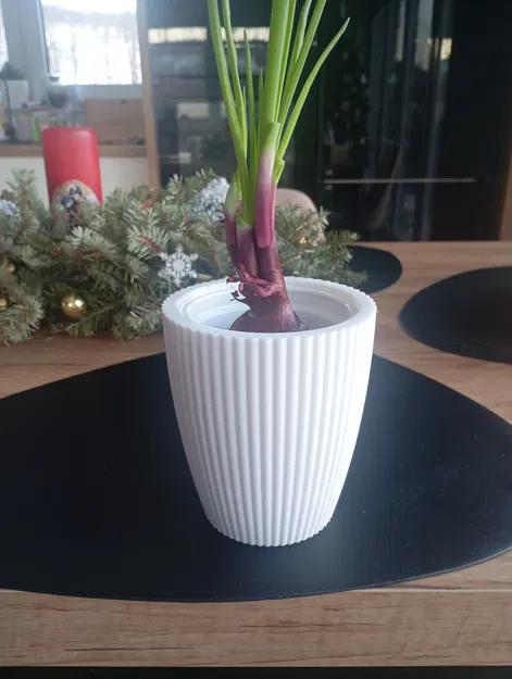 Chậu hoa Fruvita (Fruvita flowerpot) - Image 2