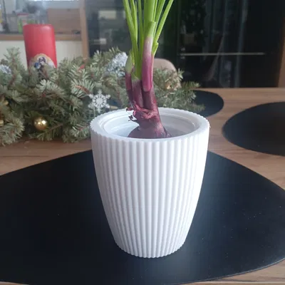 Chậu hoa Fruvita (Fruvita flowerpot)