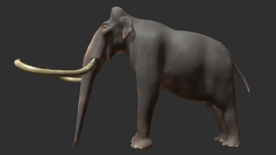 Voi ma mút phương Nam (Southern Mammoth) - Image 1