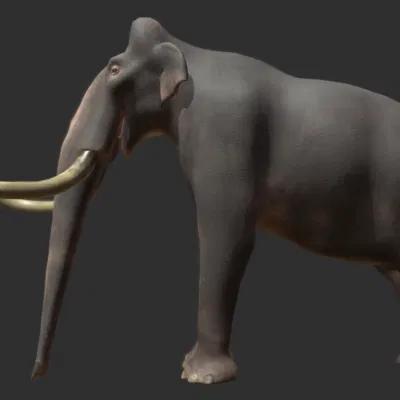 Voi ma mút phương Nam (Southern Mammoth)