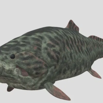 Dunkleosteus