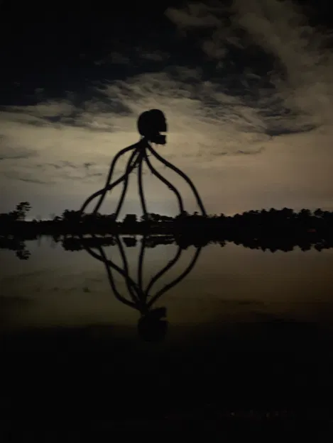 Skull Strider - Image 1