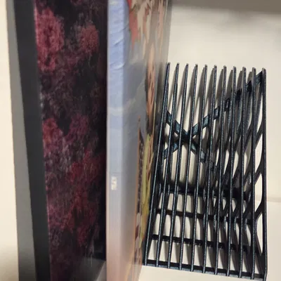 Kệ đựng đĩa Vinyl (15 khe)