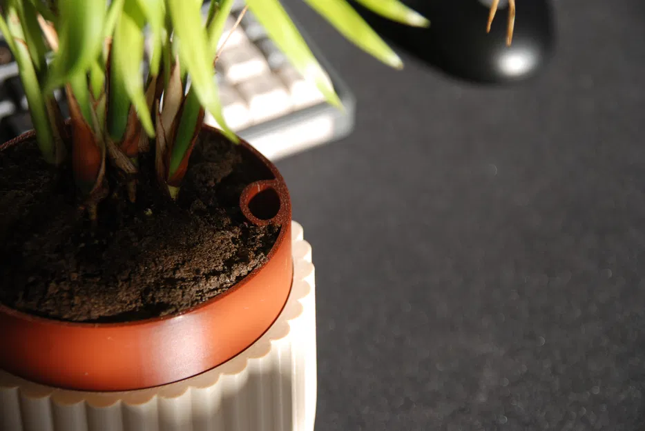 Chậu Tự Tưới Nước (Self-Watering Planter) - Image 4