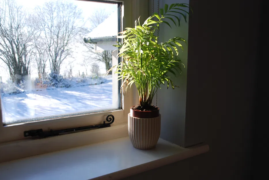 Chậu Tự Tưới Nước (Self-Watering Planter) - Image 9