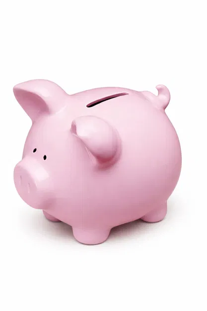 Heo Đất (Piggy Bank) - Image 1