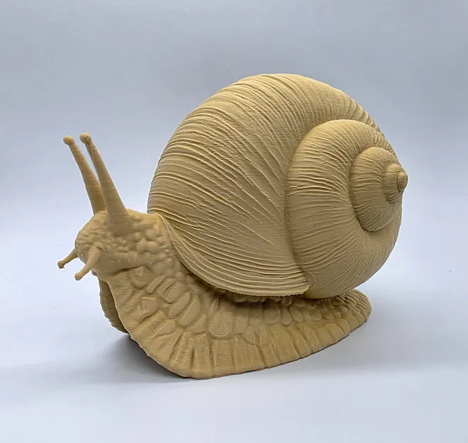 Ốc sên chân thực (Realistic Snail) - Image 1