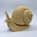 Ốc sên chân thực (Realistic Snail) - Thumbnail 1