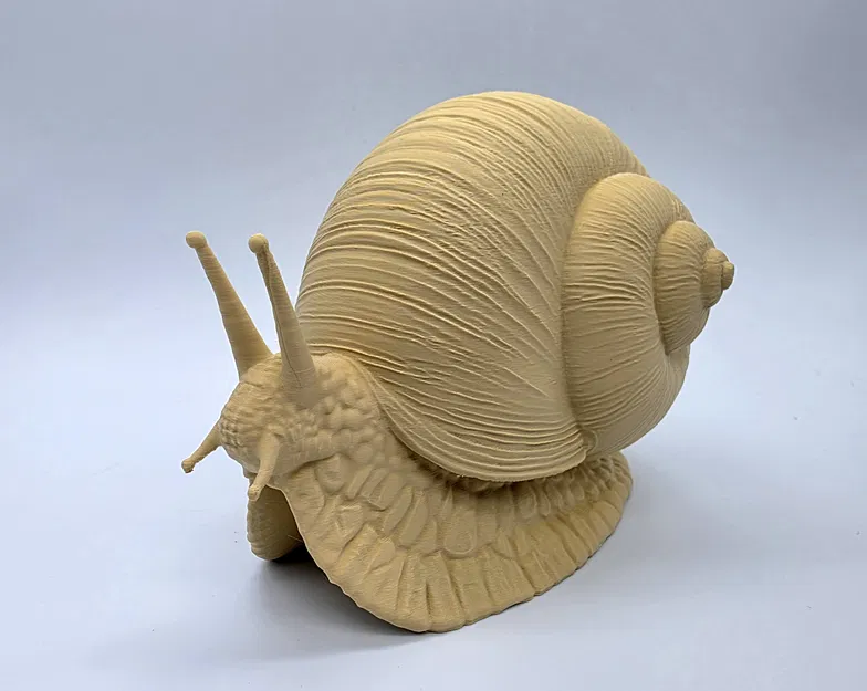 Ốc sên chân thực (Realistic Snail) - Image 2