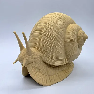 Ốc sên chân thực (Realistic Snail)