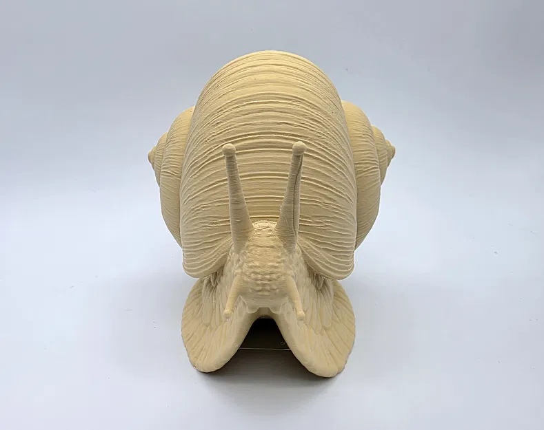 Ốc sên chân thực (Realistic Snail) - Image 3