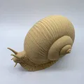 Ốc sên chân thực (Realistic Snail) - Thumbnail 5