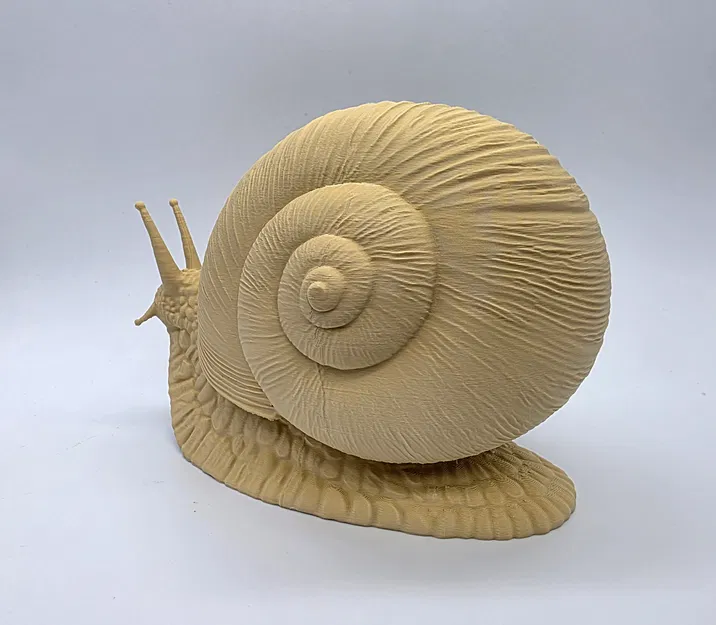 Ốc sên chân thực (Realistic Snail) - Image 6