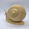 Ốc sên chân thực (Realistic Snail) - Thumbnail 6