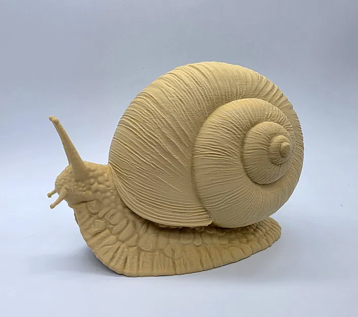 Ốc sên chân thực (Realistic Snail) - Image 7