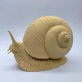 Ốc sên chân thực (Realistic Snail) - Thumbnail 7