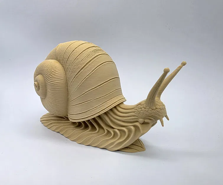 Ốc sên độ chi tiết cao (High-Detail Snail) - Image 1