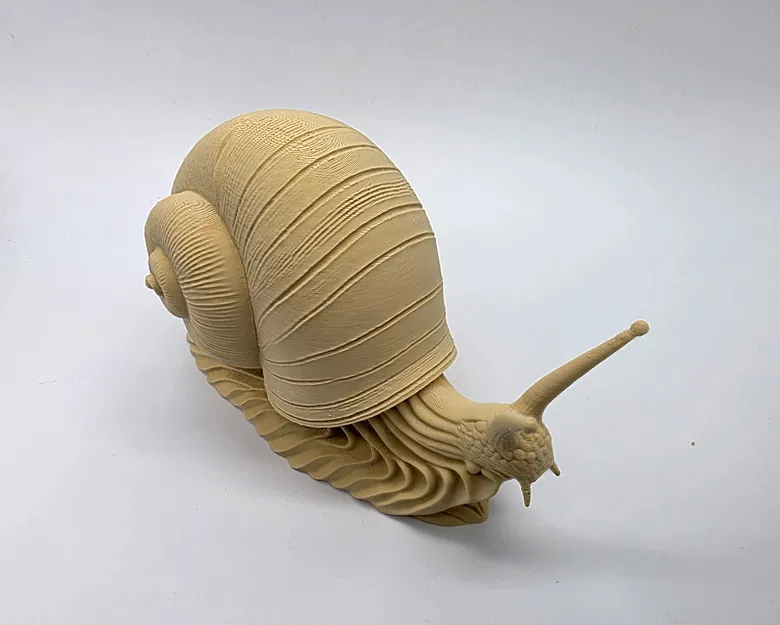 Ốc sên độ chi tiết cao (High-Detail Snail) - Image 3