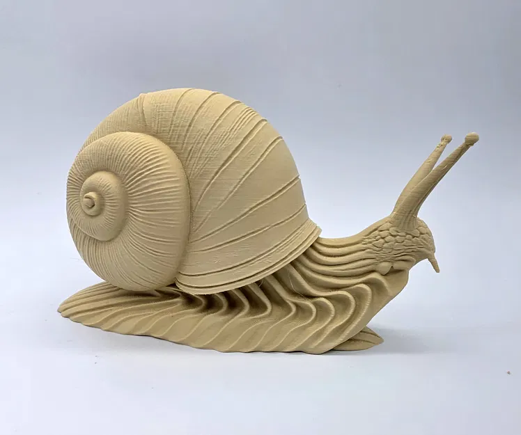 Ốc sên độ chi tiết cao (High-Detail Snail) - Image 6