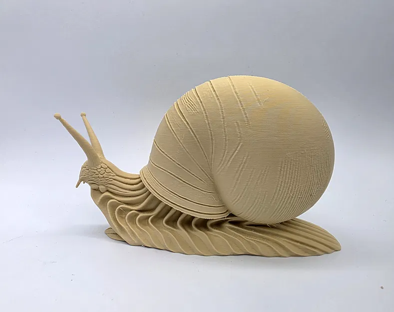 Ốc sên độ chi tiết cao (High-Detail Snail) - Image 8