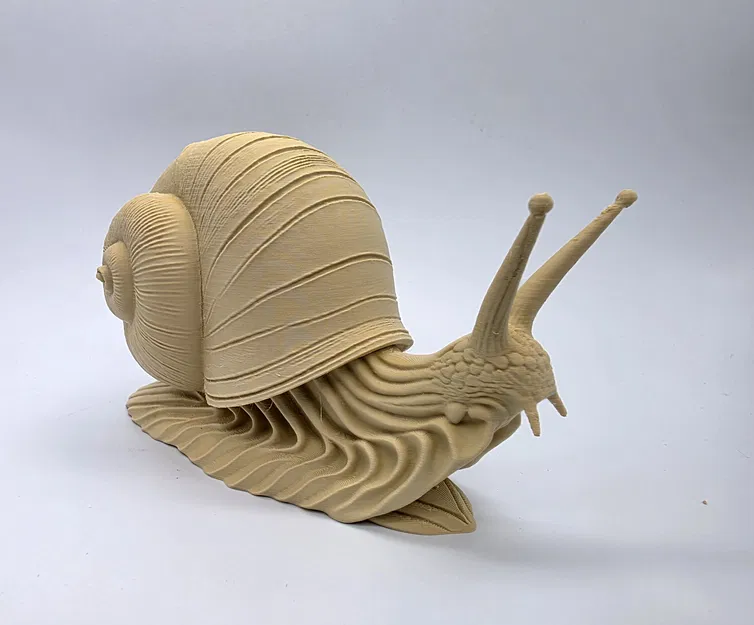 Ốc sên độ chi tiết cao (High-Detail Snail) - Image 9